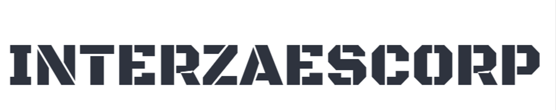 INTERNATIONAL ZAES CORP